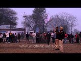 Flag off during Rural Olympics Bullock cart race