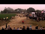 Bull race speed up as it progresses - Rural Olympics Sports Festival