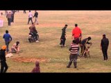 Greyhound dog race at Rural Olympics ,Kila Raipur
