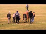 Bull cart race : Kila Raipur Sports Festival