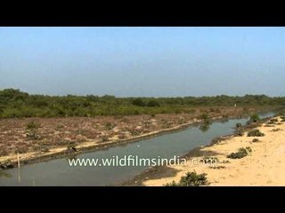Bamboo bridge leading towards the Henry Island