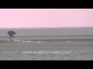 Fisherman spreads the fishing net on the ground