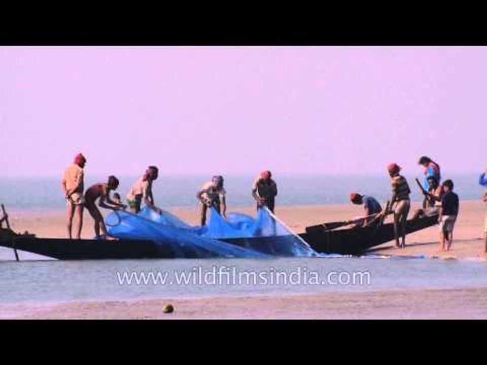 Fishermen pulling the net from sea shore