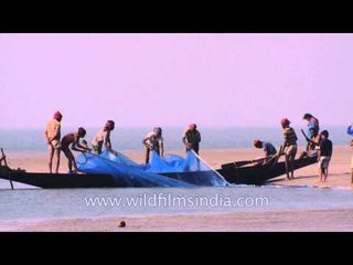 Fishermen pulling the net from sea shore