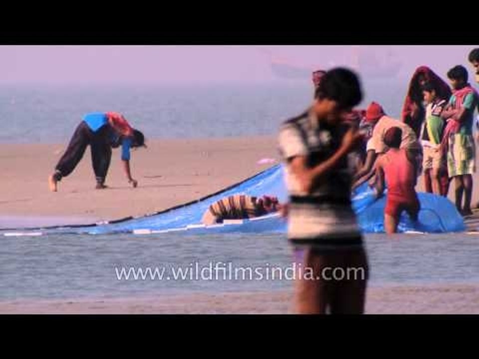 Seine fishing on the shore of the Bay of Bengal at Bakkhali beach