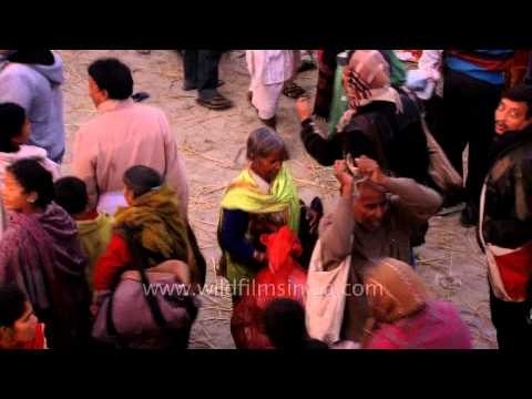Hub of pilgrims at Gangasagar mela