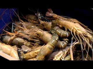 Freshly caught prawns and shrimp from the Bay of Bengal
