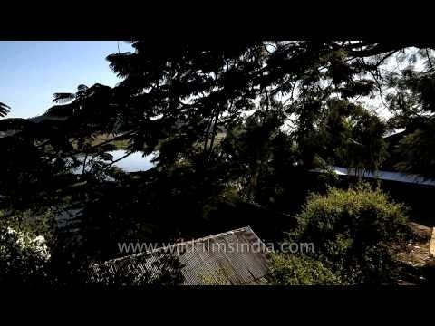Glimpse of the floating lake - Loktak lake, Manipur