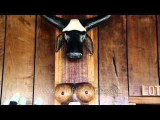 Wooden carving at the Naga morung