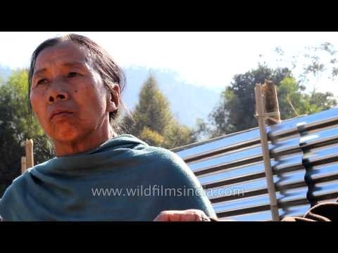 Fresh oranges at the Orange Festival 2013 - Tamenglong, Manipur