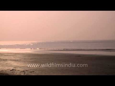 Sunset at Bakkhali beach, West Bengal
