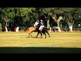 Penalty shot for USA against India - at 7th Manipur Polo tournament