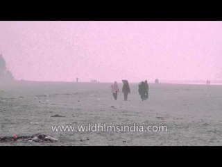 Village women collecting the woods at Bakkhali beach