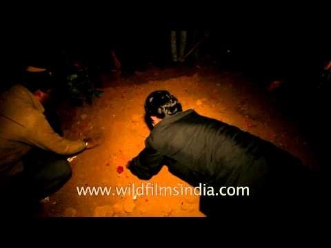 Mourners mark the end of the mourning procession with the burial of Tazia