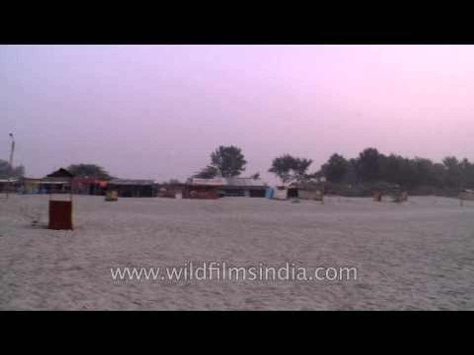 Bakkhali beach surrounded by casuarina groves