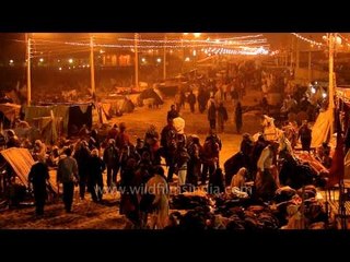 Temporary mela tent at Gangasagar