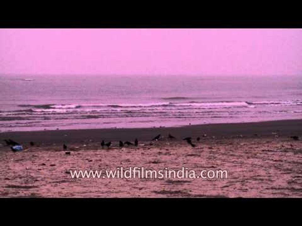 Evening hours at Bakkhali beach