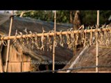 Dry fish hanging on bamboo sticks near Frazerganj beach