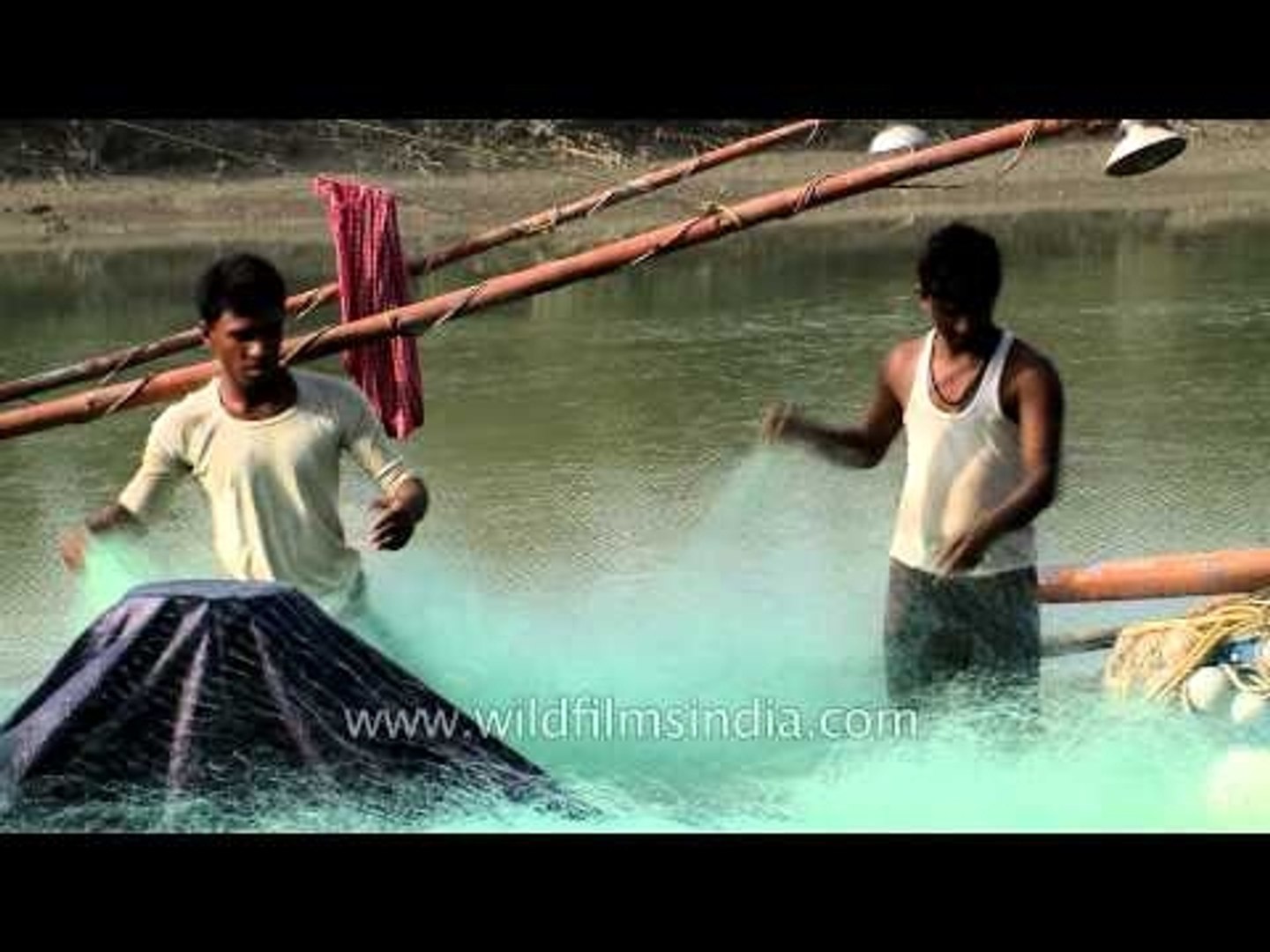 Fishing activity at Frazergunj Fishing Harbour