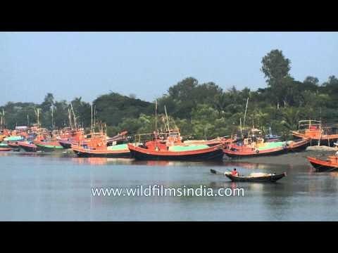 Fishing boats at Frazerganj harbour on Bay of Bengal
