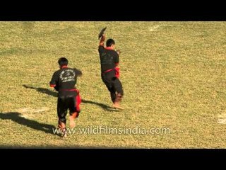 Thang ta - The art of sword and the spear