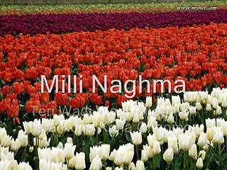 Tairi Wadi Wadi Ghoomon Taira Kona Kona Choomon