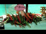 Naga chillies on show at Naga Heritage Village