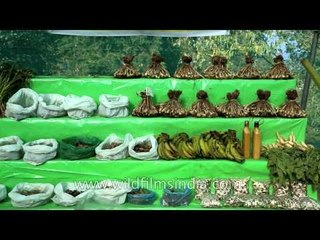 Naga pear squash and gingers on sale, Nagaland