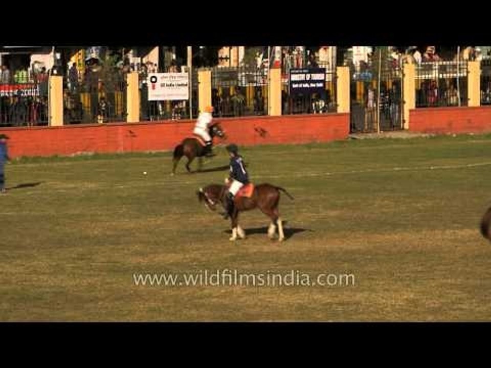 Polo players striking the ball during the match