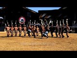 Phom warriors performing the war dance : Hornbill fest