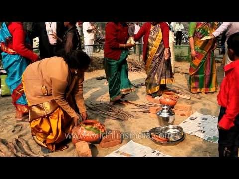 Tamil ladies busy making pongal on Kaannum Pongal