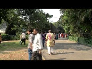 Its time for fun and frolic in Alipore zoological garden