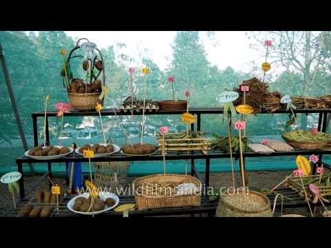 Kiwis exhibited at Naga Heritage village