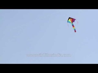 Man flying a rainbow colour kite at Delhi's Central Park