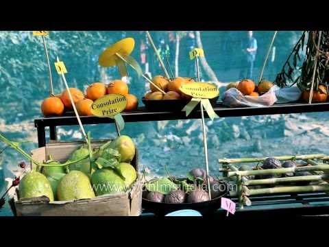 Local fruits and vegetables on the show - at Hornbill Fest
