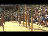 Greased pole climbing competition showcased at Hornbill Fest