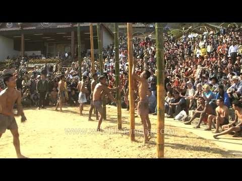 Greased pole climbing competition showcased at Hornbill Fest