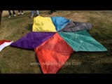 Colourful flower kites at International Kite Festival 2014, New Delhi