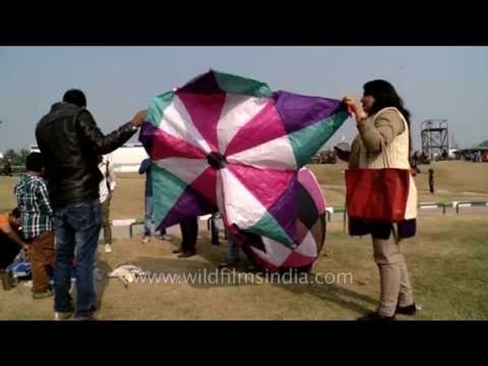 Balloon shaped kites at Central Park, New Delhi