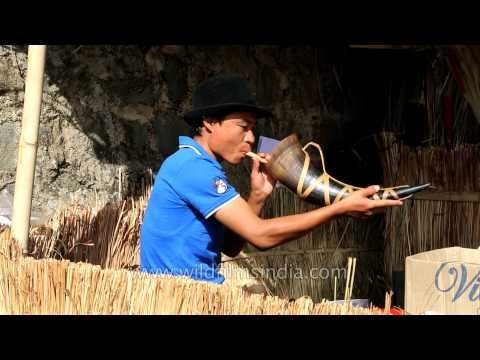 Enjoying rice beer the Naga way: in a bovine horn!