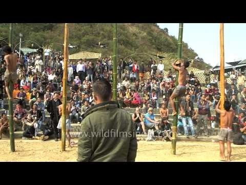Greased pole climbing an indigenous game of the Nagas
