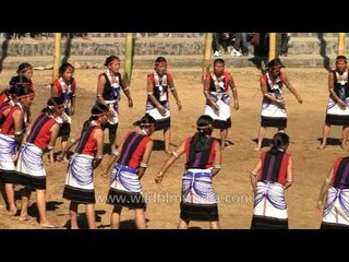 Energetic dance performed by Pochury women
