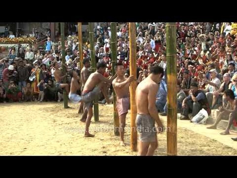 Trying hard to reach the top, greased pole climbing - Nagaland
