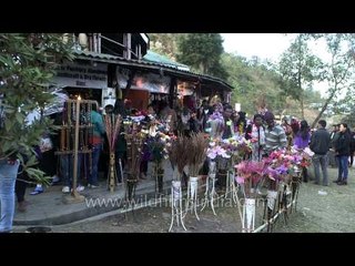 Artifical flowers on sale at the Hornbill Festival