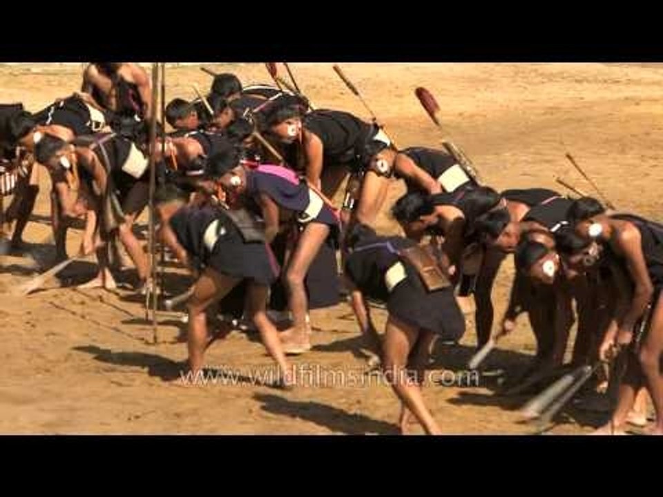 Yimchunger tribe showing the olden way of cultivation
