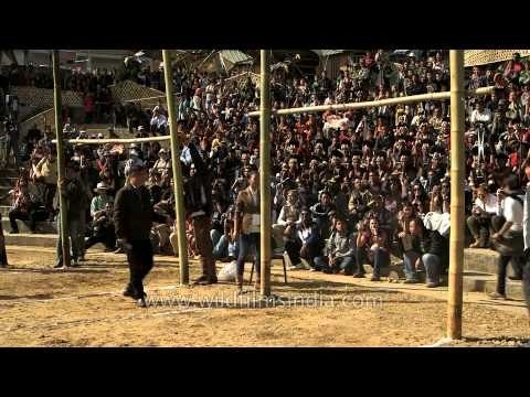 Daring tribal game of meat-kicking at Hornbill festival 2013