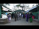 Visitors at the horticulture stalls  in Nagaland