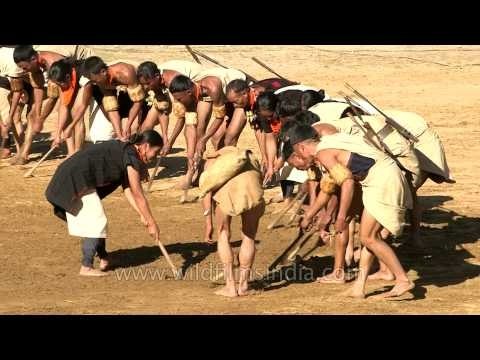 Naga style of cultivation showcased by the Khiamniungan Naga