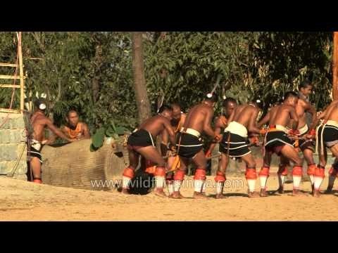 Traditional log-pulling by Chakesang tribesmen