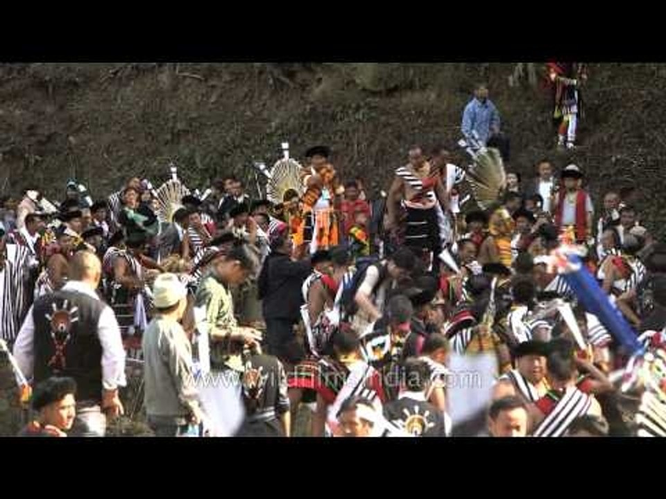Historic stone pulling ceremony